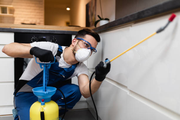 Best Cockroach Control Services  in Timberline Fernwood, AZ