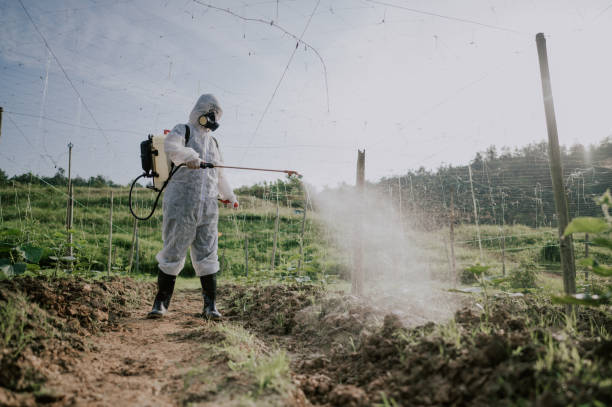 Best Commercial Pest Control Services  in Timberline Fernwood, AZ
