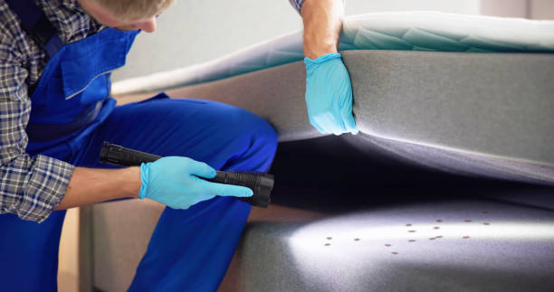 Best Exterminator Services  in Timberline Fernwood, AZ