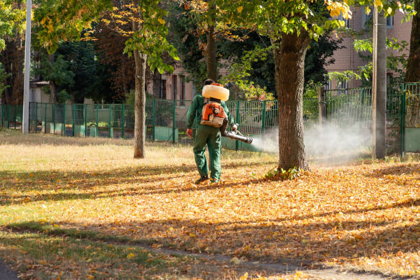 Best Bed Bug Extermination  in Timberline Fernwood, AZ