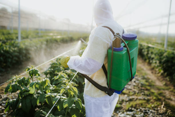 Timberline Fernwood, AZ Pest Control Company
